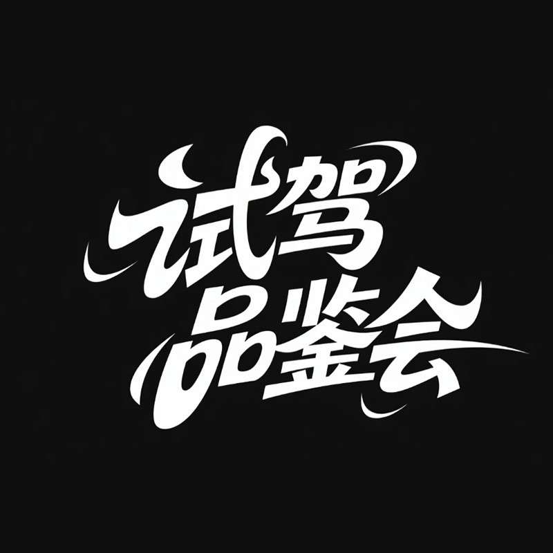 试驾品鉴会ai字体设计
