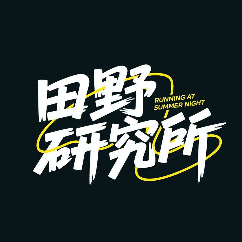 田野研究所ai字体设计