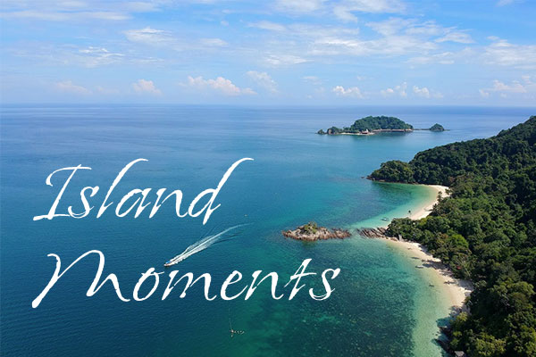 Island Moments效果预览