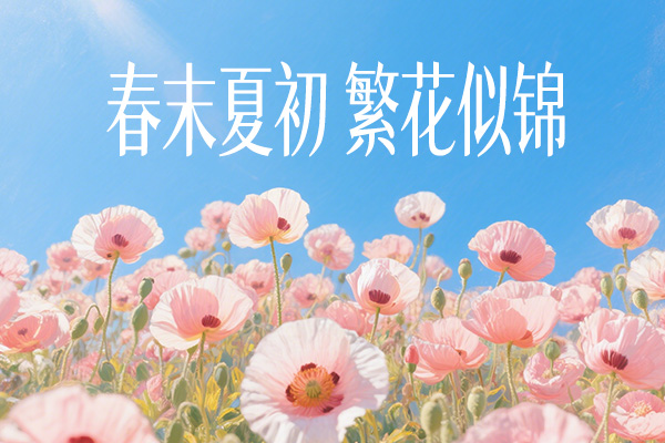 南西初夏宋效果预览