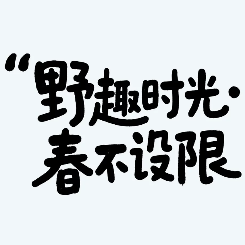 野趣时光·春不设限ai字体设计