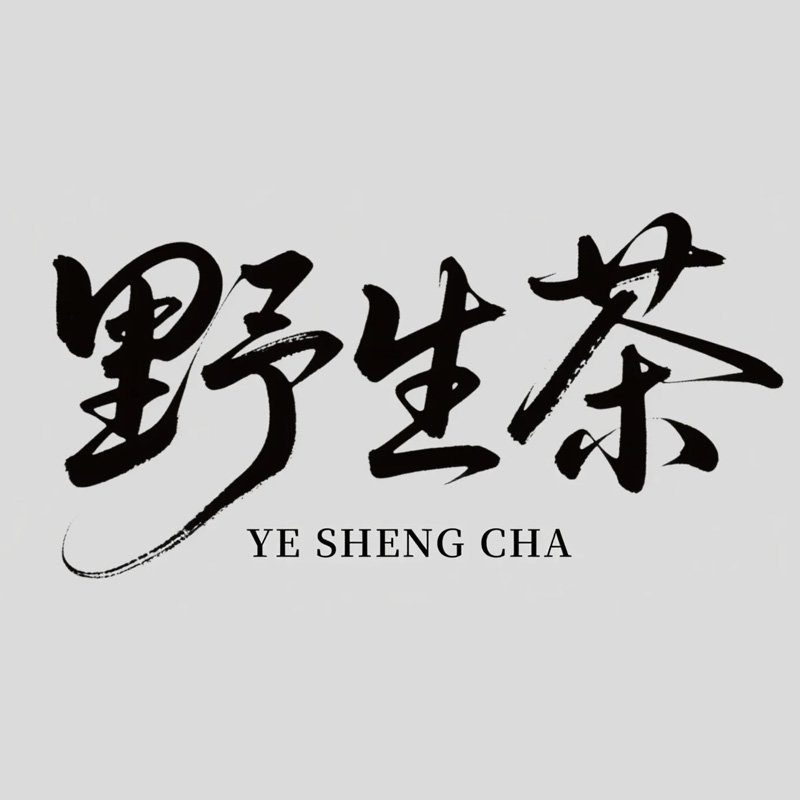 野生茶ai字体设计