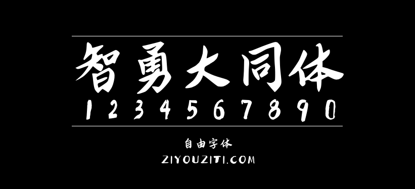 智勇大同体预览