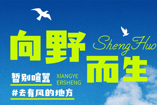 卓特自由体效果预览